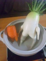 nabo-zanahoria-ecologicos