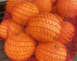 Venta de naranjas
